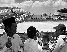 Bull races – Madura
